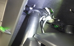 KAWASAKI NINJA H2 CARBON 2021 ZXT02J