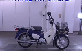 OTHER C110-3