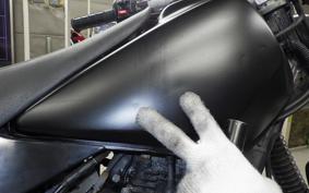 YAMAHA TW225 2012 DG09J