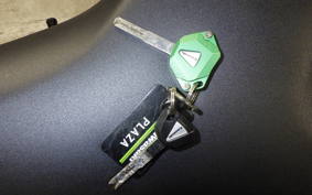 KAWASAKI ZX-4RR 2026 ZX400P