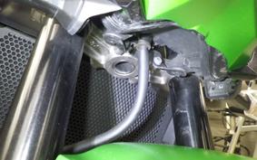 KAWASAKI Z800 2021