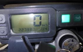 KAWASAKI KLX250D TRACKER 2021 LX250E