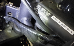 YAMAHA YZF-R25 2024 RG43J