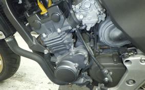 HONDA HORNET 250 MC31