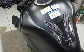 KAWASAKI Z900 2021 ZR900B
