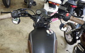 OTHER MUTT250