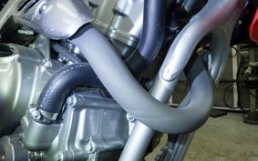 HONDA CRF250L 2006 MD47