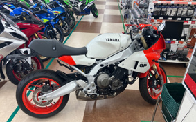 YAMAHA XSR900 GP 2024 RN96J