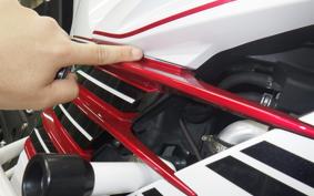 KAWASAKI ZX 1400 NINJA R A 2020