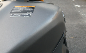 YAMAHA MT-09 ABS 2014 RN34J