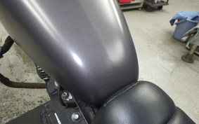 HARLEY XL883N 2017