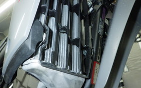 HONDA CRF250L 2007 MD47