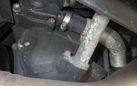YAMAHA MAXAM 250 SG21J
