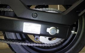 OTHER +CF PAPIO X0-2 2022