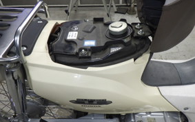 HONDA C110 SUPER CUB 2020 JA10