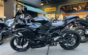 KAWASAKI NINJA ZX-25R ZX250E