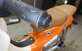 OTHER +GPX POPZ110 2026