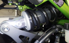 KAWASAKI Z900 2021 ZR900B