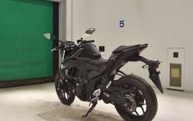 YAMAHA MT-25 2014 RG43J