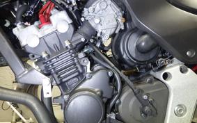 HONDA HORNET 250 MC31