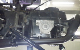 OTHER MUTT250 2025
