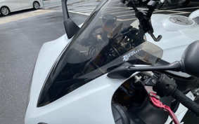 YAMAHA YZF-R1 2010 RN20