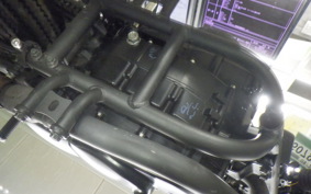 KAWASAKI W175 SE 2024