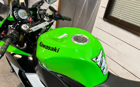 KAWASAKI NINJA ZX-10R 2013 ZXCE11