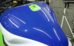 KAWASAKI ZX-4RR 2024 ZX400P