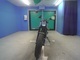 Фото Yamaha TW225 с японского аукциона