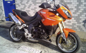 TRIUMPH TIGER 2009 G7465S