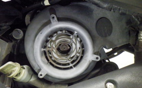YAMAHA AXIS 125 TREET 2020 SE53J