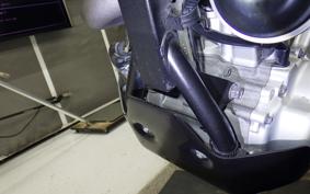YAMAHA WR250X DG15J