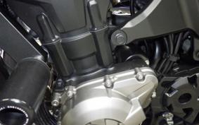 KAWASAKI Z1000 Gen.5 2015