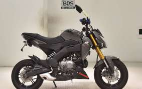 KAWASAKI Z125 PRO 2006 BR125H