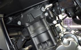 HONDA REBEL 250 A 2024 MC49