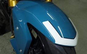 KAWASAKI Z125 PRO BR125H