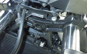 KAWASAKI Z250 Gen.2 2008 EX250P