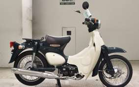 HONDA LITTLE CUB E AA01