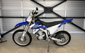 YAMAHA WR250R DG15J