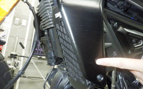 DUCATI SCRAMBLER 2024