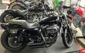 HARLEY XL1200L 2008 CX3