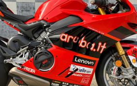 DUCATI PANIGA-REV4 2024 3D00