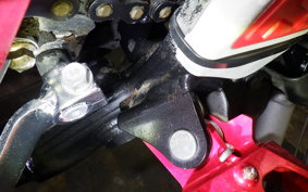 HONDA CRF250 RALLY MD44