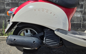 HONDA CREA SCOOPY AF55