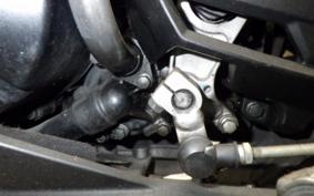 KAWASAKI NINJA 250 EX250L