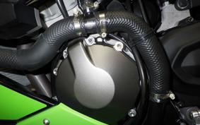 KAWASAKI NINJA ZX-6R 2022 ZX636G