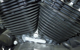 HARLEY XL883N 2017