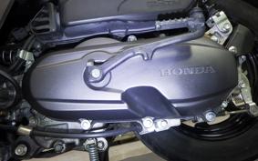 HONDA TACT Basket 2024 AF79