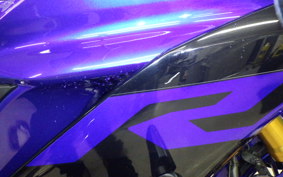YAMAHA YZF R-3 2019 RH13J